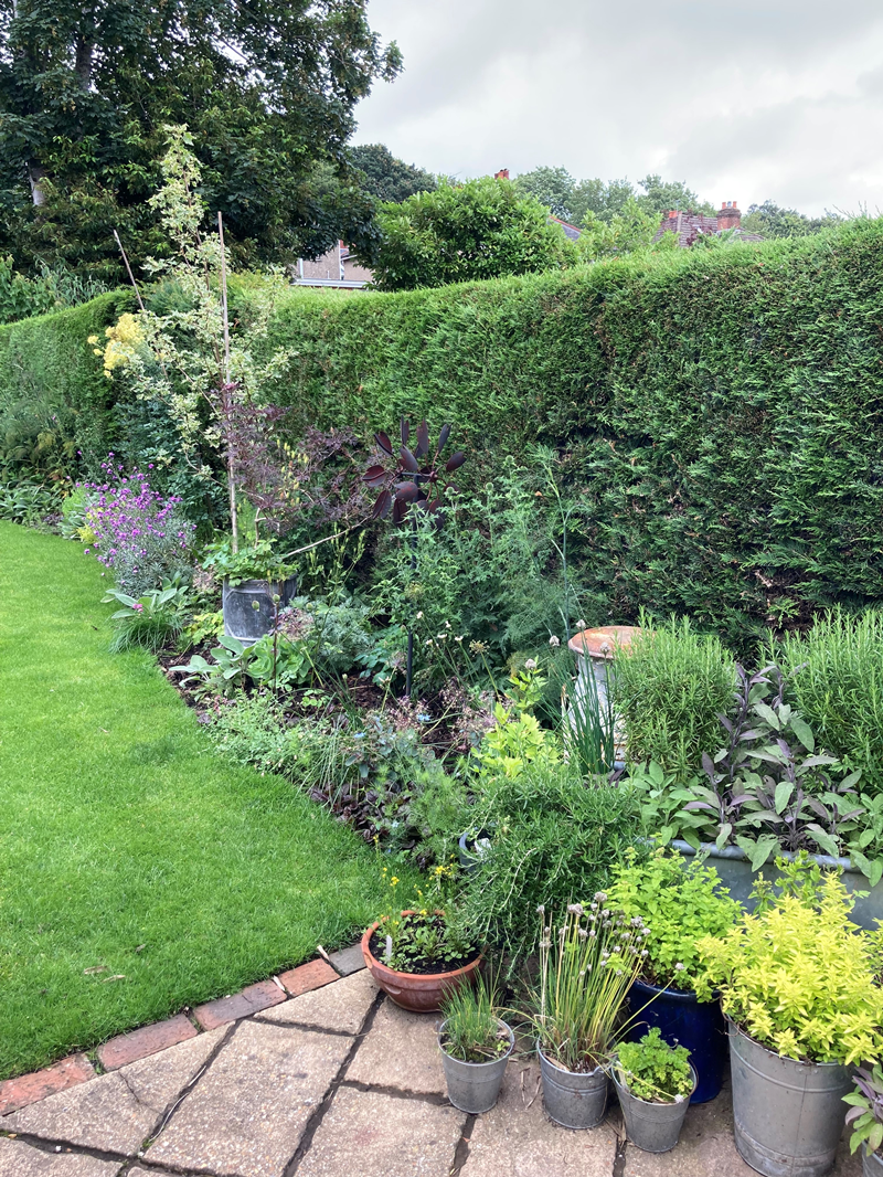 Urban Garden